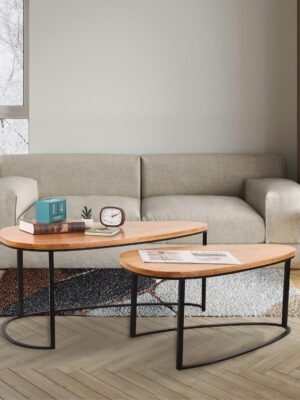 שולחנות סלון אמורפי טבעי